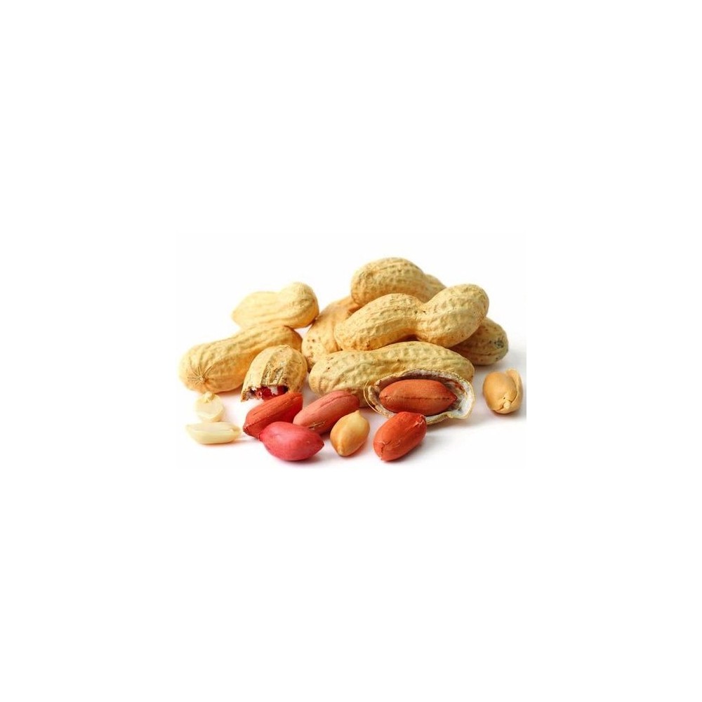 Geröstete Erdnüsse mit Schale (1 kg)
