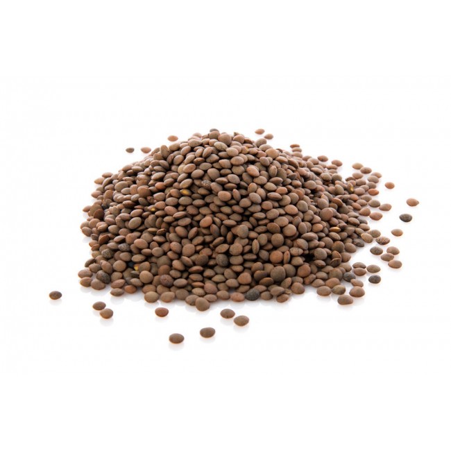 Dunkle Linsen (1 kg)