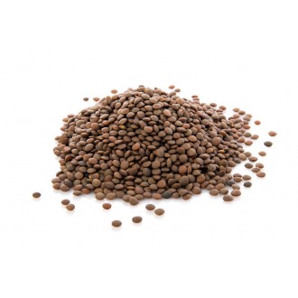 Dunkle Linsen (1 kg)