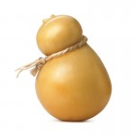 Provoletta Fresca Affumicata 1