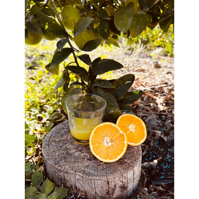 50 kg e 100 kg di Arance...