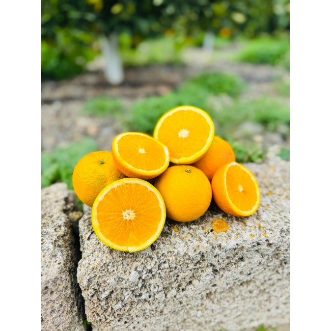 Orangen mit Vanille