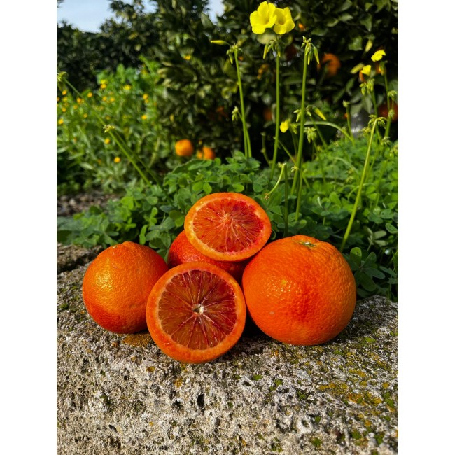 Tarocco-Orangen der Sorte...