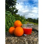 50 kg und 100 kg Tarocco-Gallo-Orangen der Größe „PICCOLO“ zum Auspressen – ANGEBOT SOLANGE DER VORRAT REICHT! 1