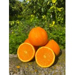 Navel-Orange „Late“ – Spät 1