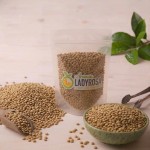 Helle Linsen (1 kg) 1